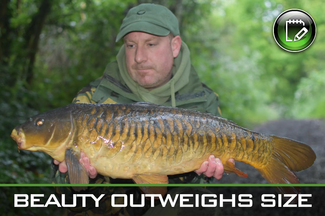 Carp Fishing ~ Beauty Outweighs Size ~ Ian Lewis