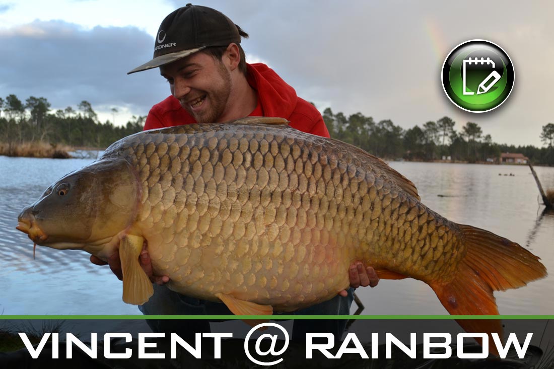 Rainbow Article ~ Vincent Van Den Abeele