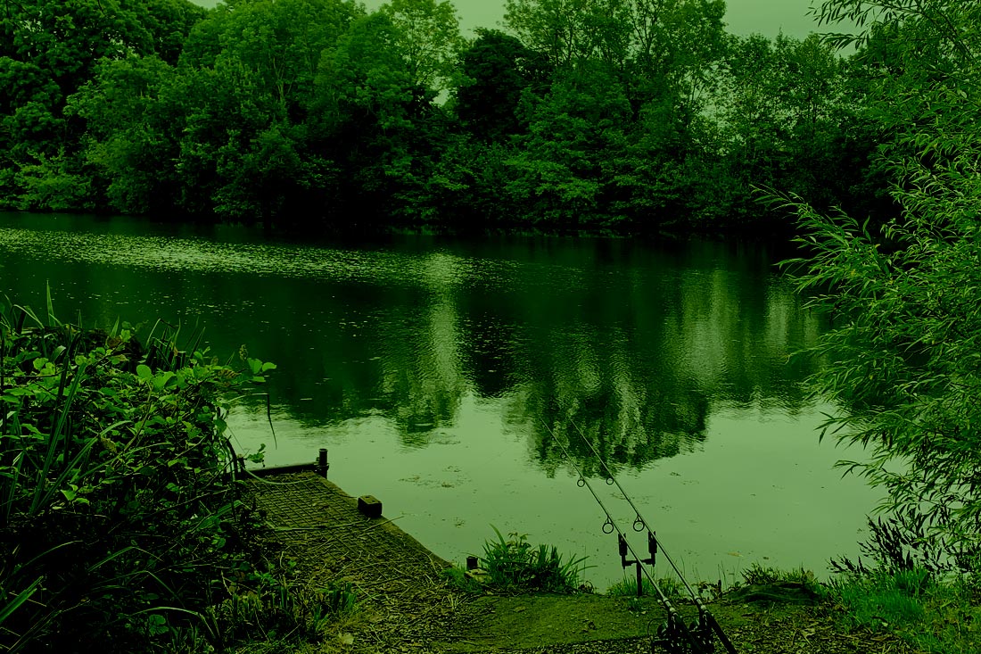 Carp Fishing – Return to Crayfish Pool – Rick Golder