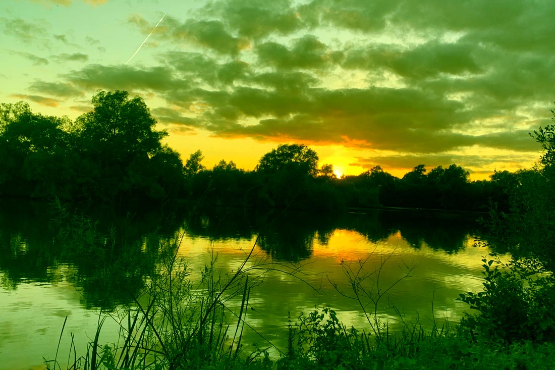 Carp Fishing – Review of 2021 – Rick Golder