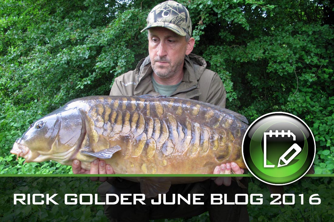 Rick Golder Blog June 2016