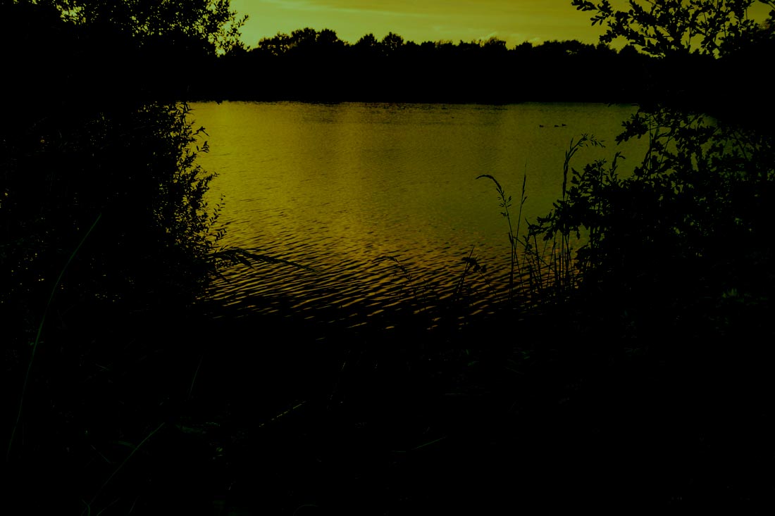 Carp Fishing – Roach Pit Learning Curve – Josh Baker