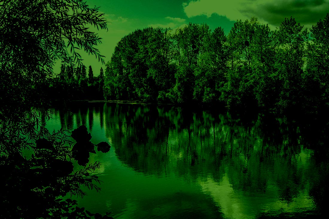 Karpervissen – Sky Lake Frankrijk – Tommy De Cleen