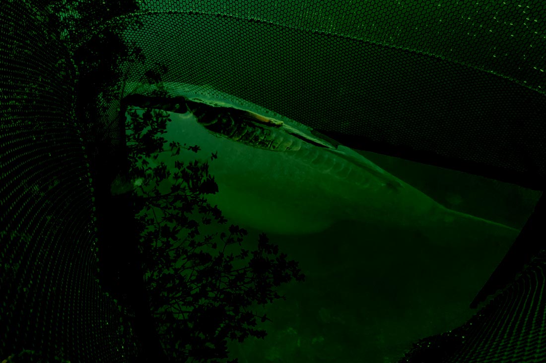 Carp Fishing – Smithy’s Story – Carl Udry