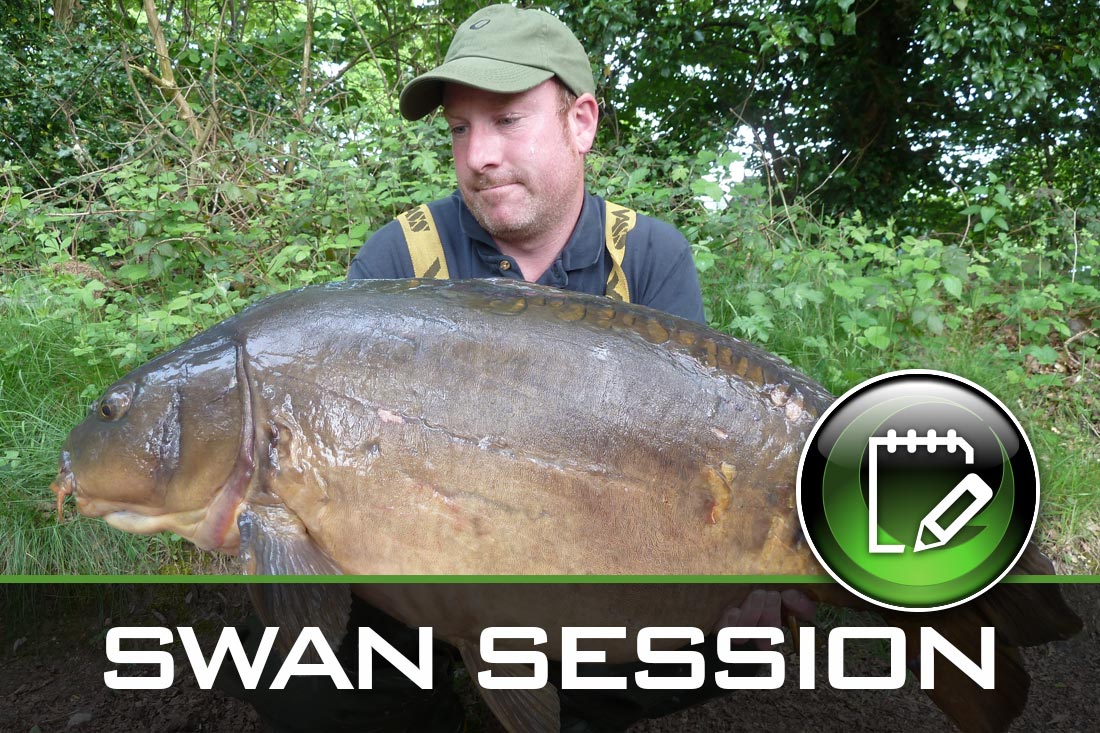 Swan Session – Ian Lewis