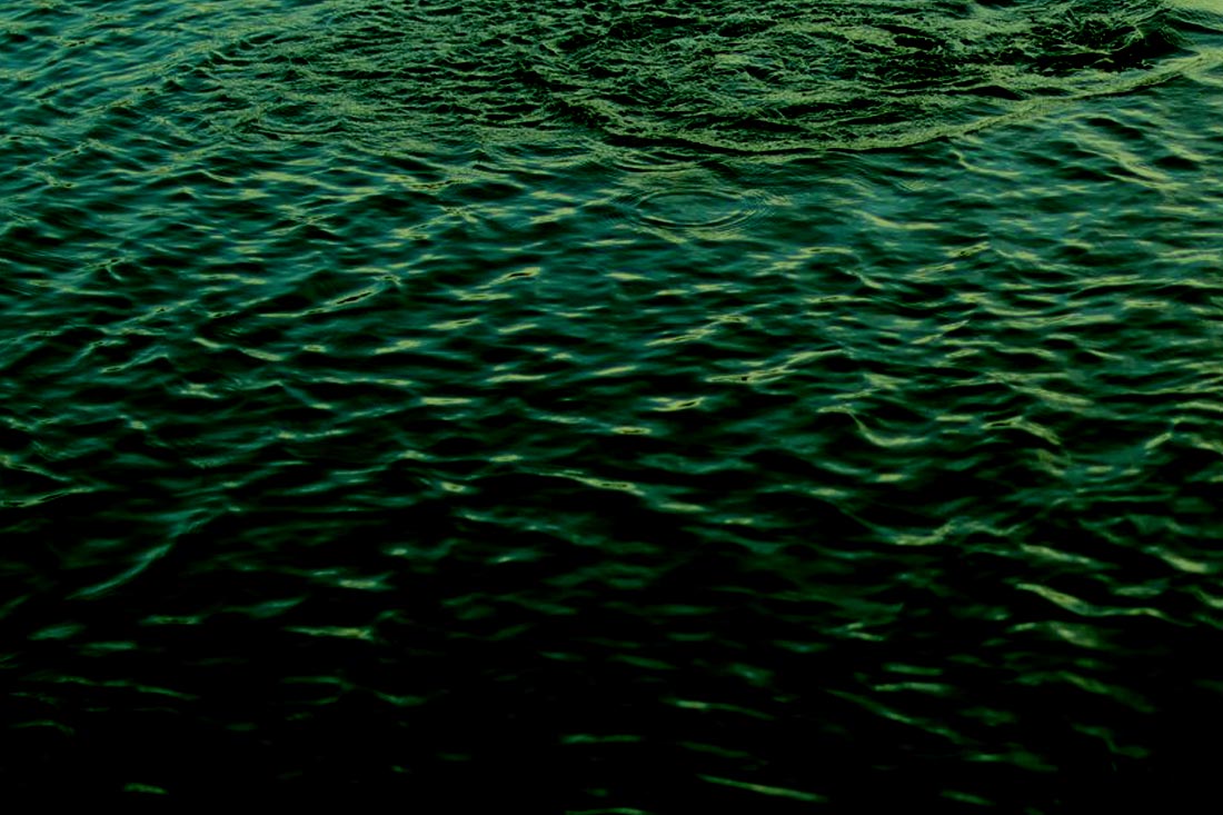 Carp Fishing – Teamwork Makes The Dream Work – Adam Farr