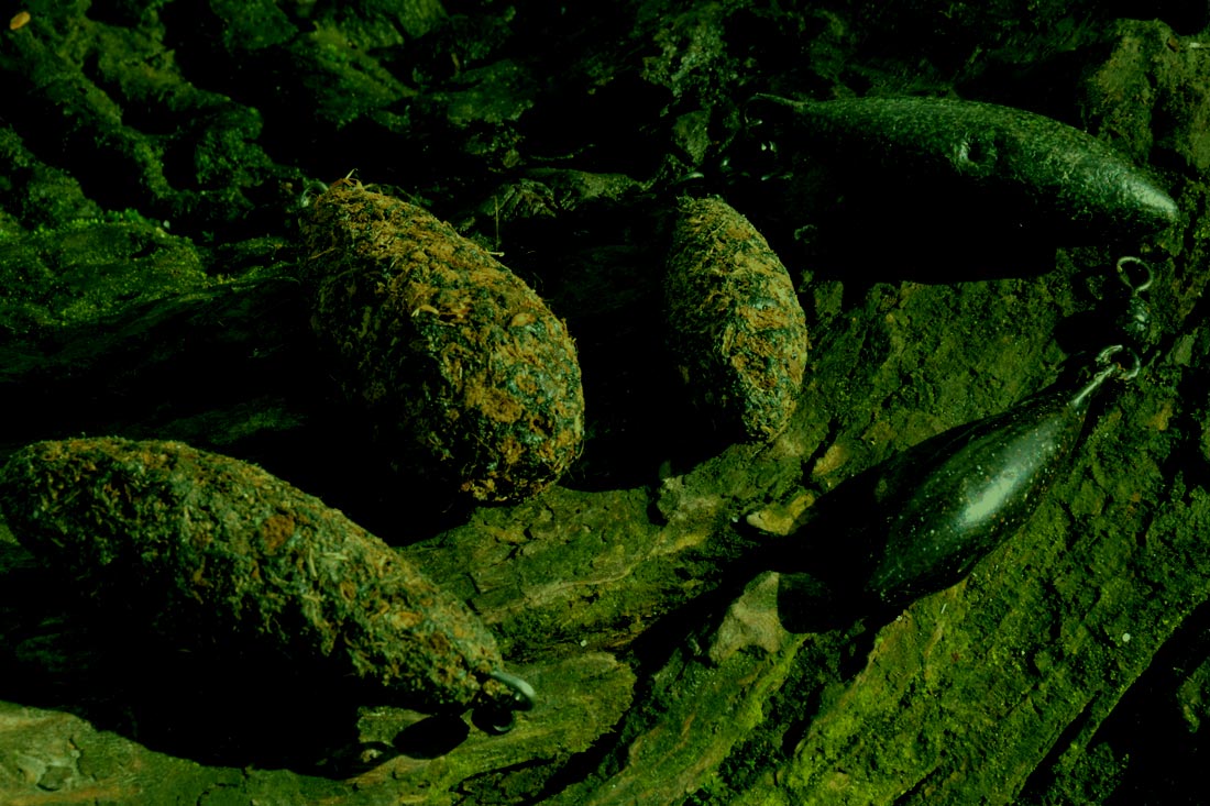 Carp Fishing – Ten Winter Tips – Matt Eaton