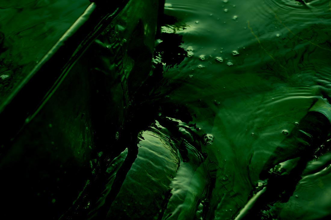 Carp Fishing – The Horseshoe Diaries – David Gaskin