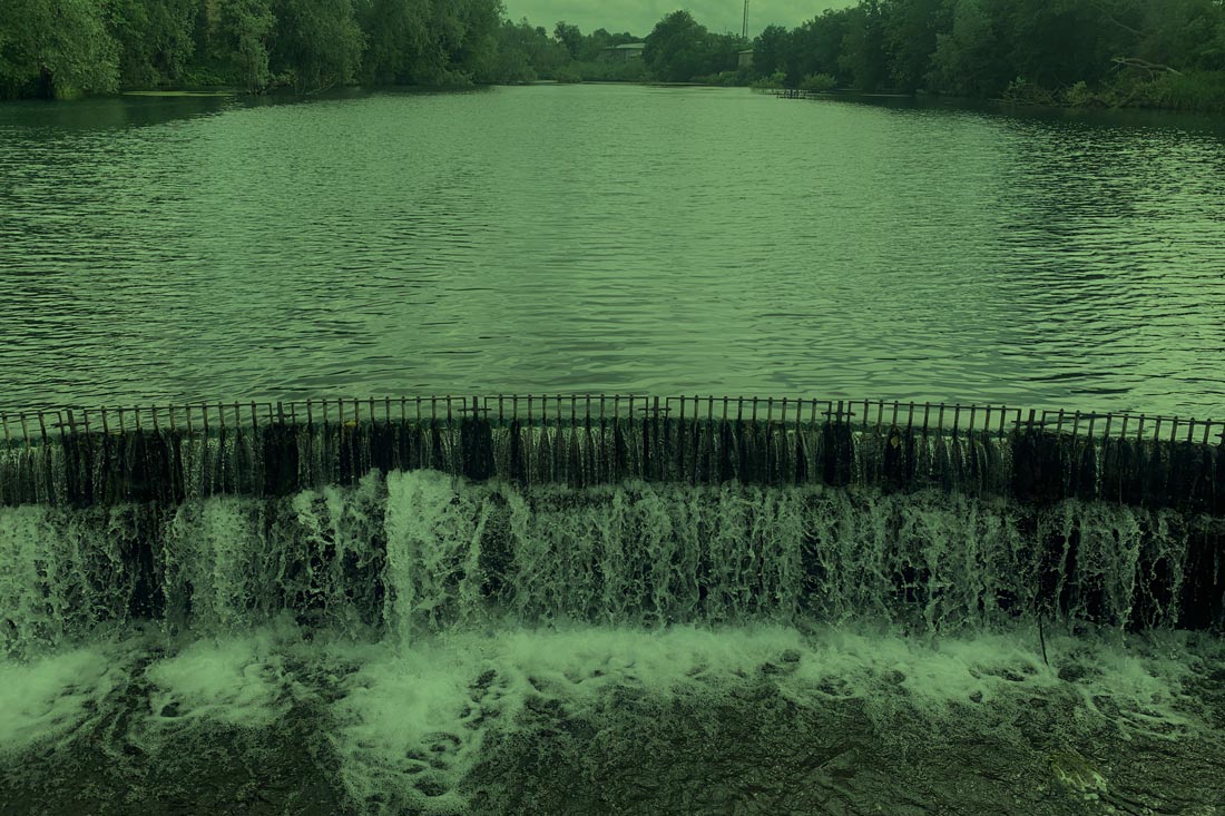 Carp Fishing – The Local Lin – Wesley Coggeshall