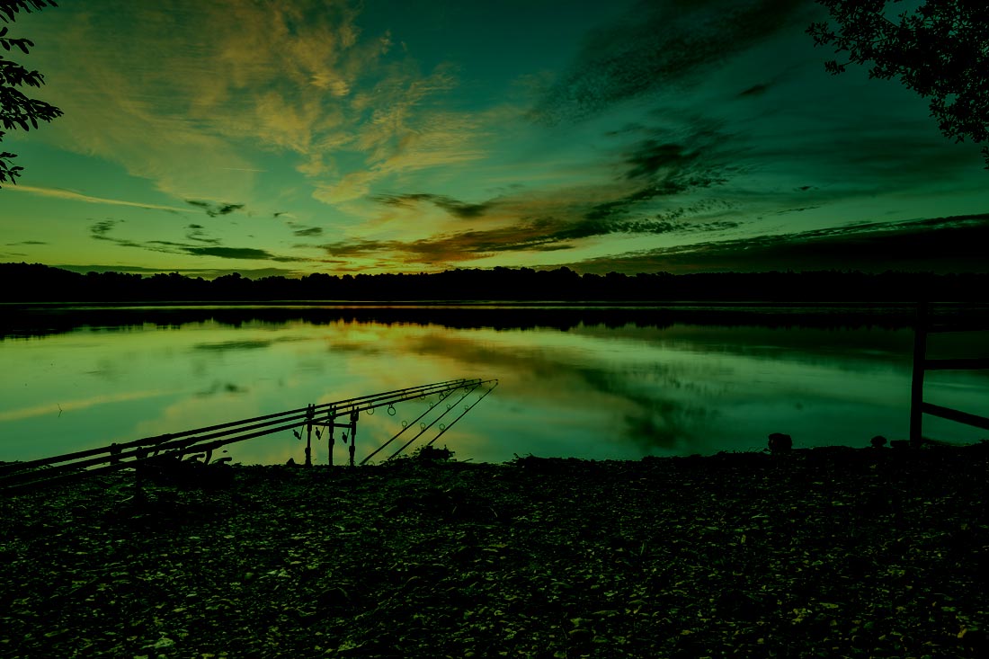 Carp Fishing – The Rockford Leather – Andy Muir