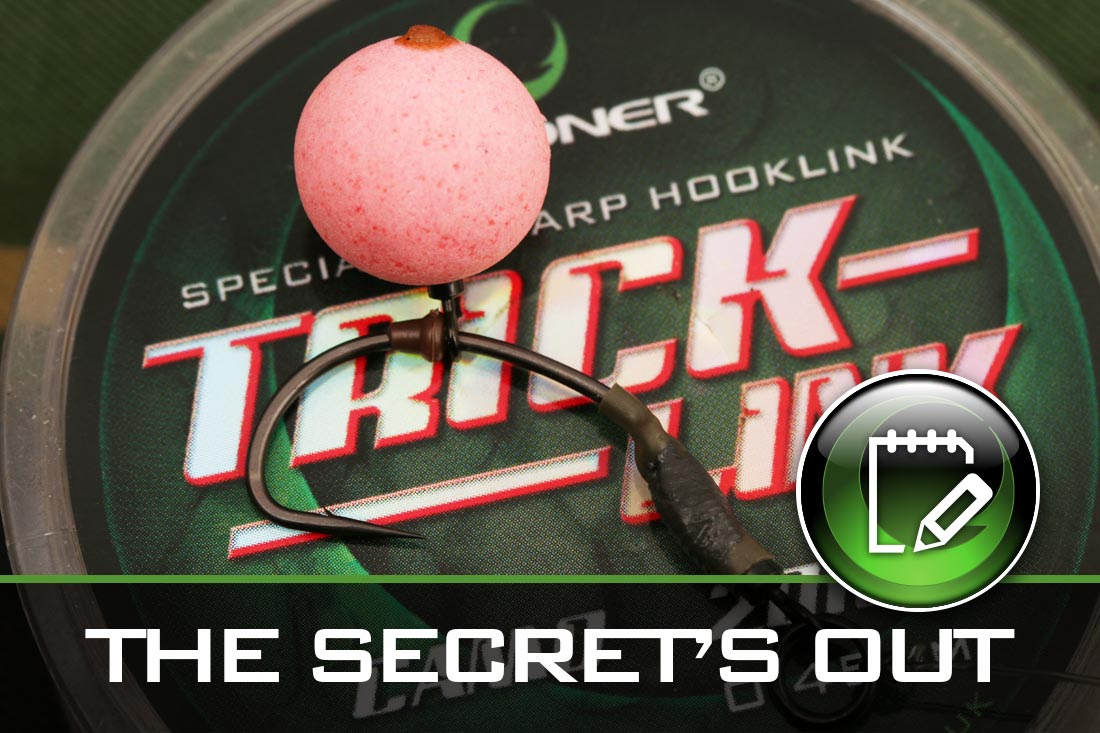 The Secrets Out – Get on the “Ronnie” door Lewis Read