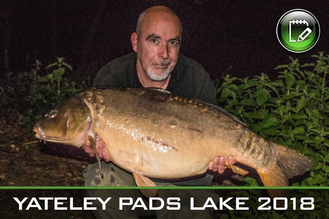 Carp Fishing ~ Yateley Pads Lake 2018 ~ Tommy De Cleen