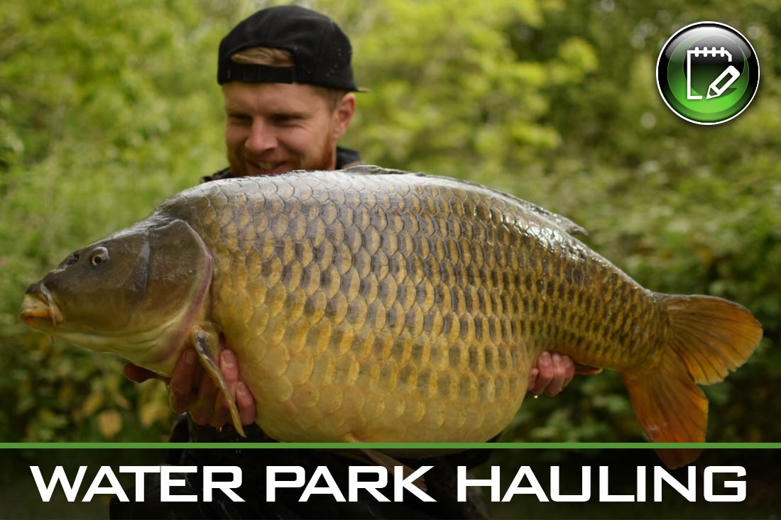 Carp Fishing ~ Water Park Hauling ~ Ash Bailey