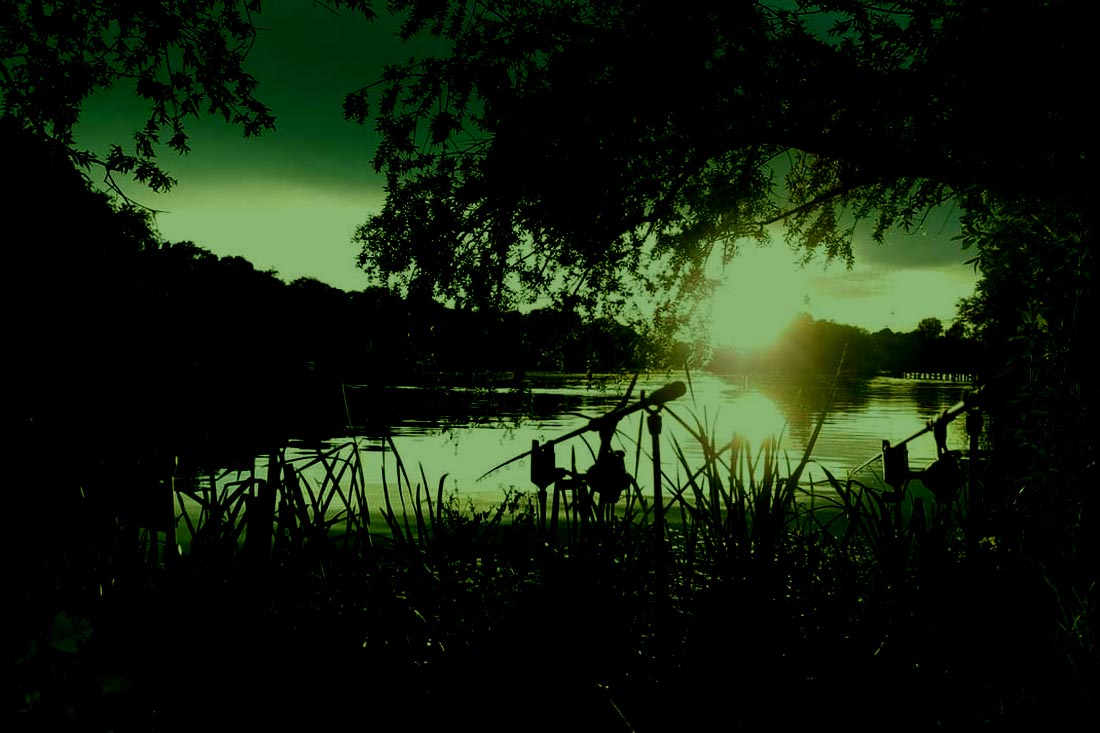 Coarse Fishing – 2020 A Year To Forget – Mike Lyddon