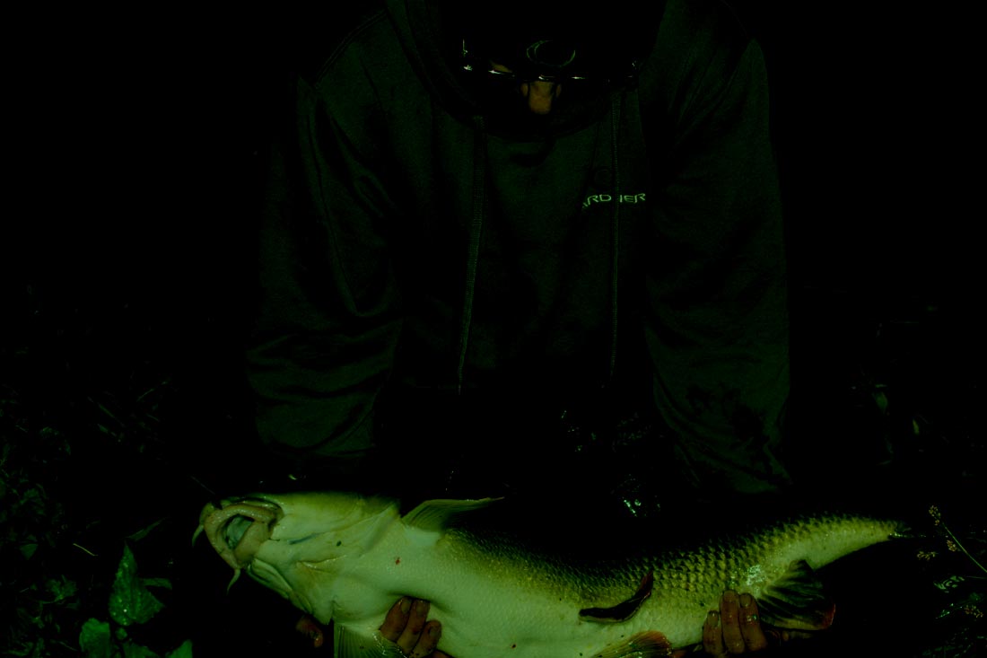 Coarse Fishing – A Year In The Making – Rob Young