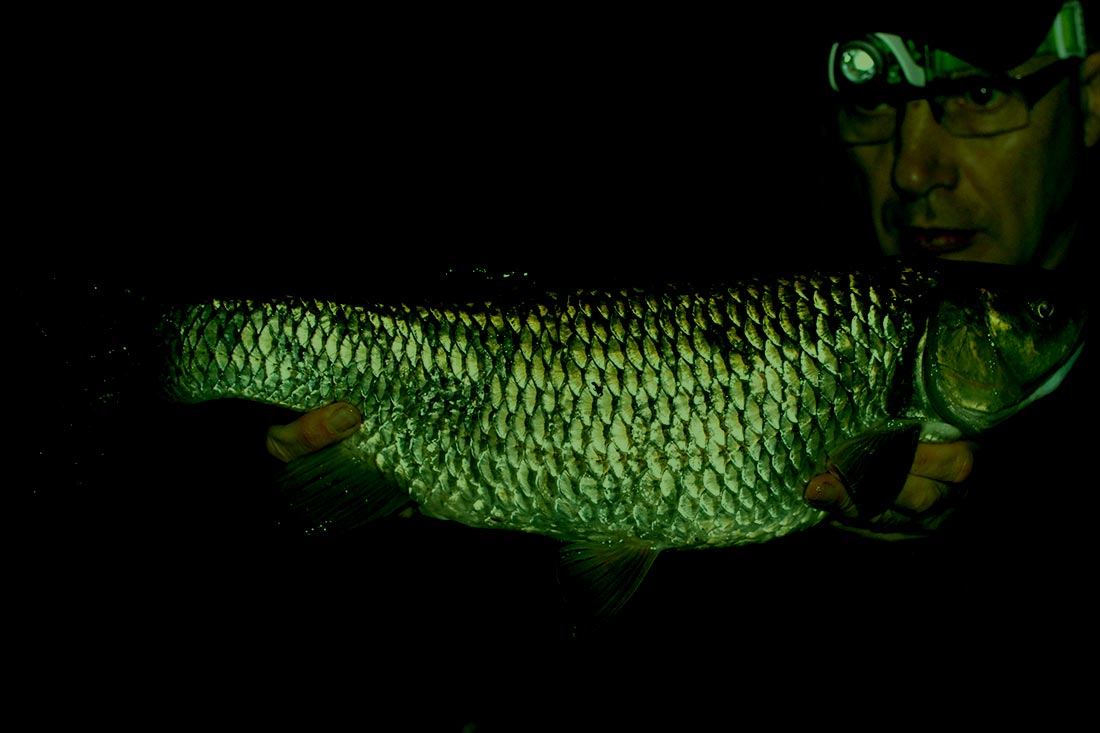Coarse Fishing – Autumn and Winter Chub Fishing – Rob Young