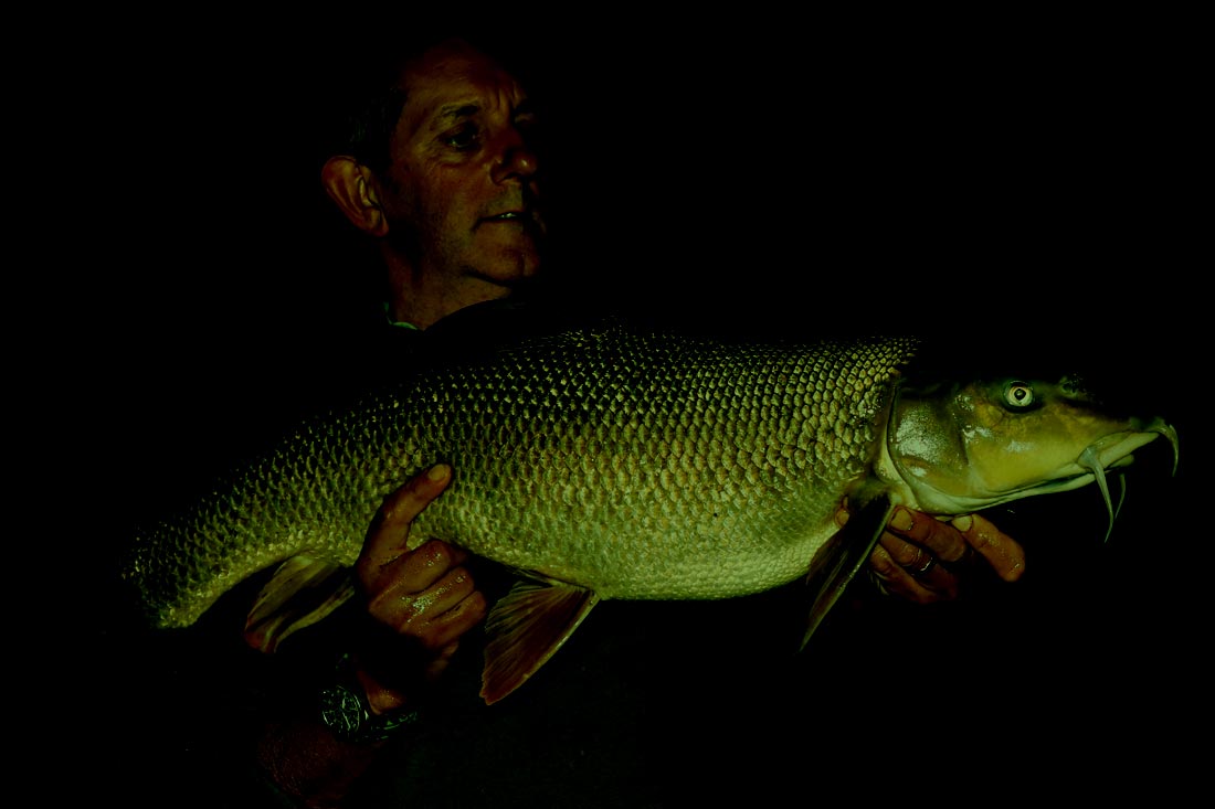 Coarse Fishing – A Look Back at 2020 – Dai Gribble