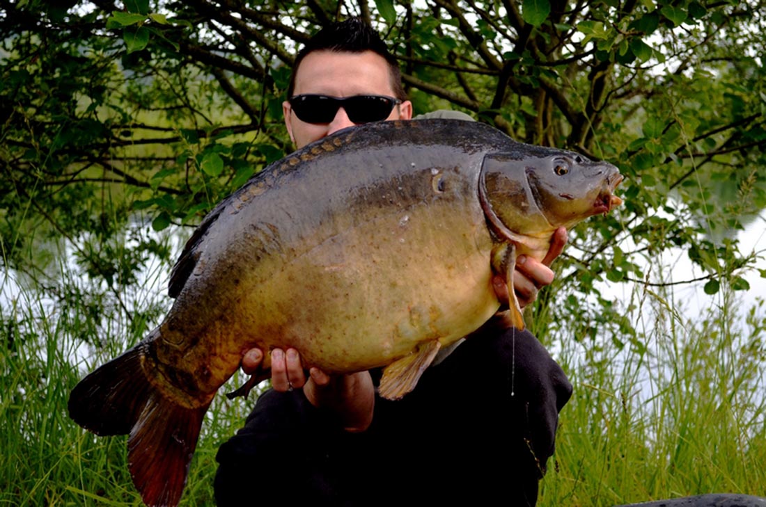 ZIG RIG POWER! – par Dauchy David