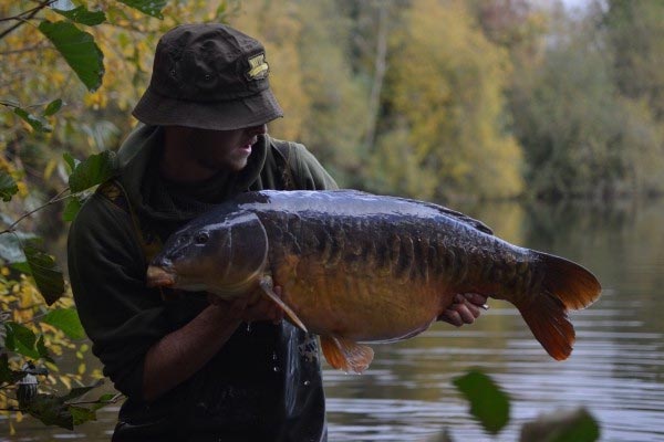Dan Handley Catch Report