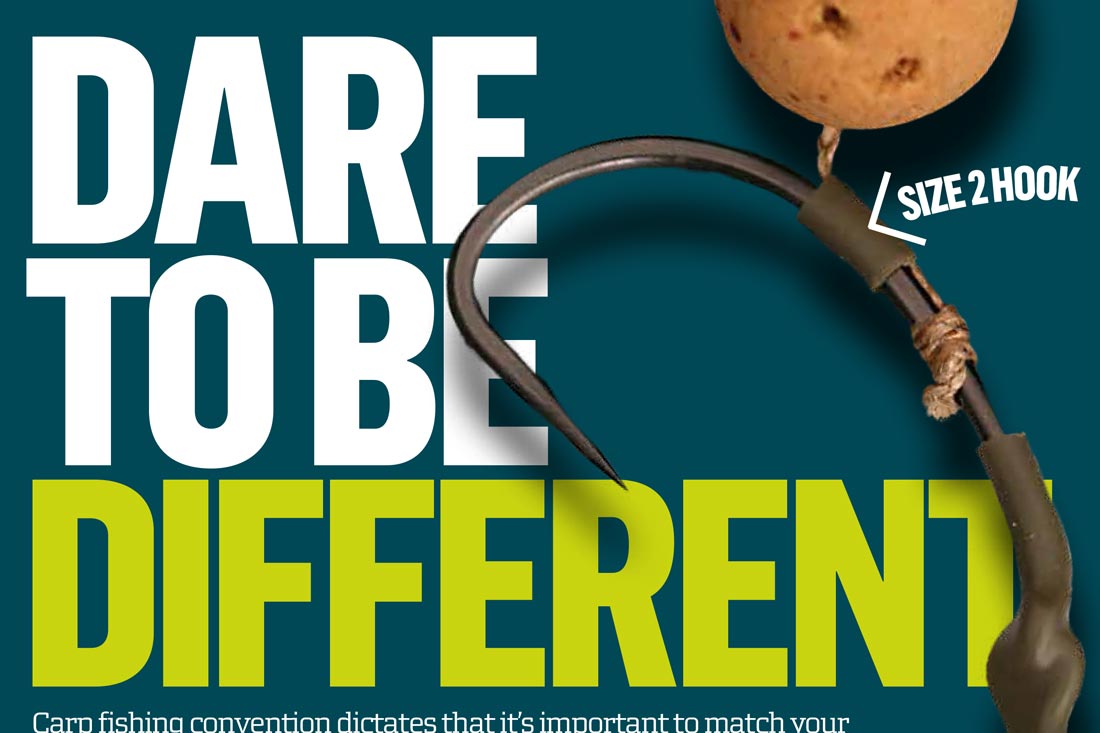 Dare to Be Different ~ Mark Wozencroft