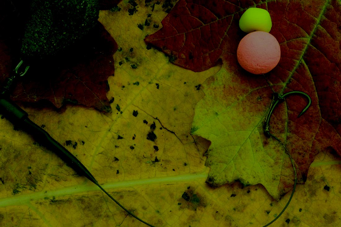 Das Richtige Rig – Jens Scholz