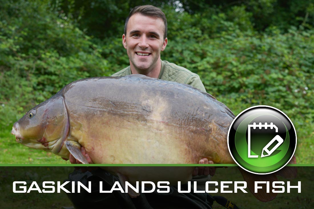 Carp Fishing – Gaskin Lands Ulcer Fish
