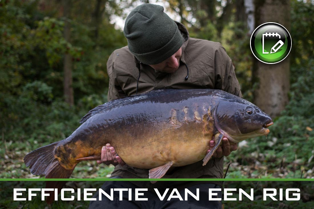 Efficientie Van Een Rig ~ Danny De Kruyff