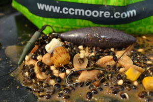 Start to 2013 – Calum Kletta