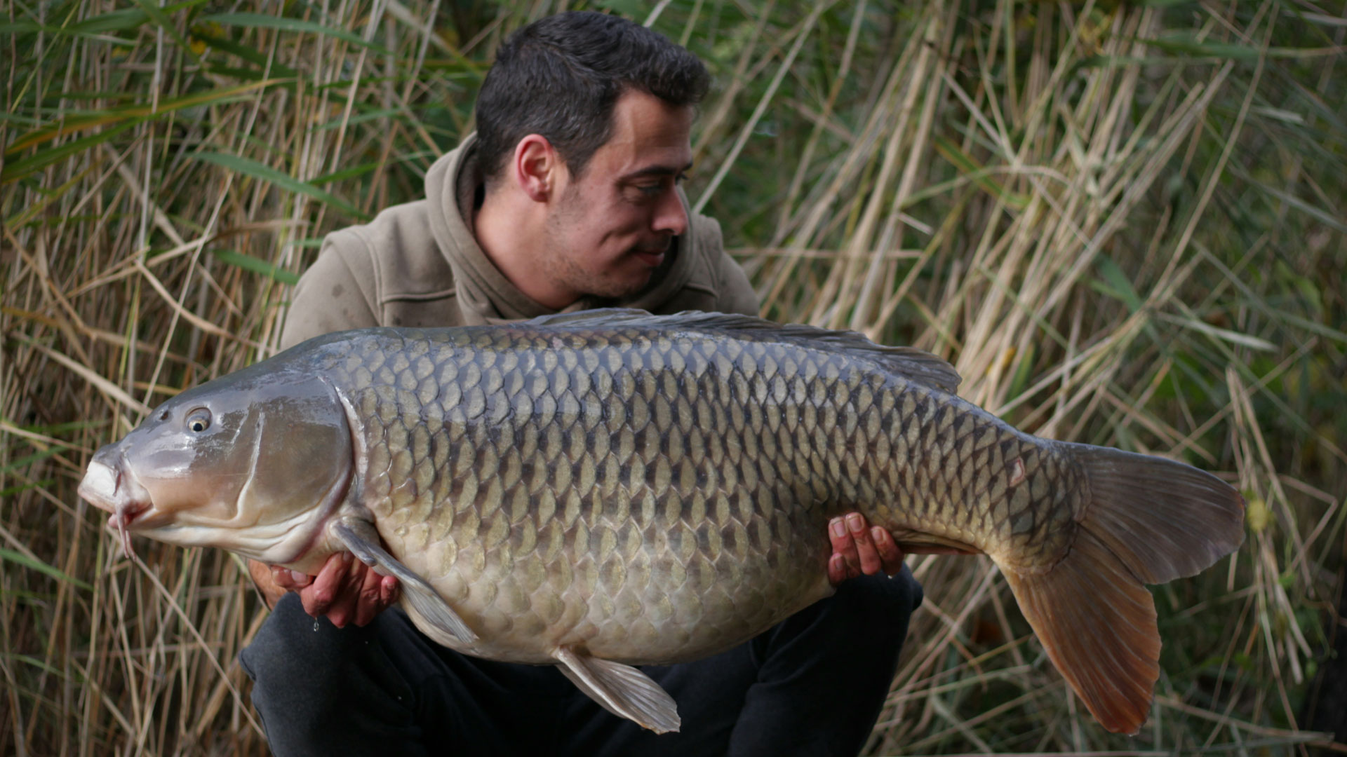 Sessies Om Van Te Dromen – Dries Van Den Heuvel