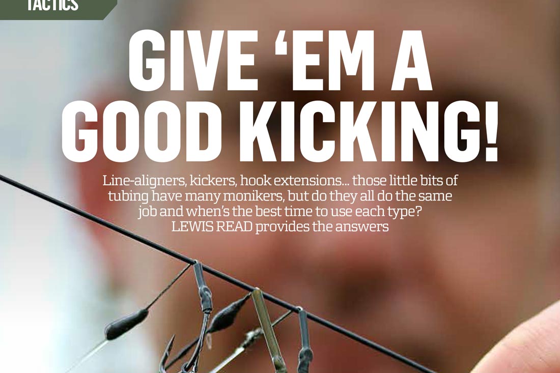 Give ’em a Good Kicking ~ Lewis Read