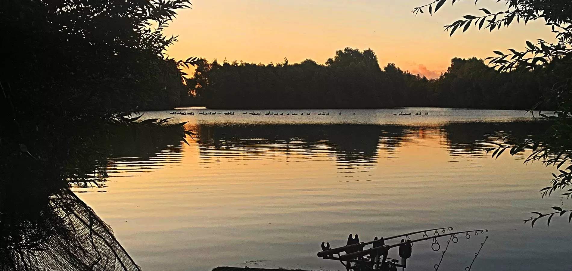 Carp Fishing – Golden Gates – Wes Coggeshall