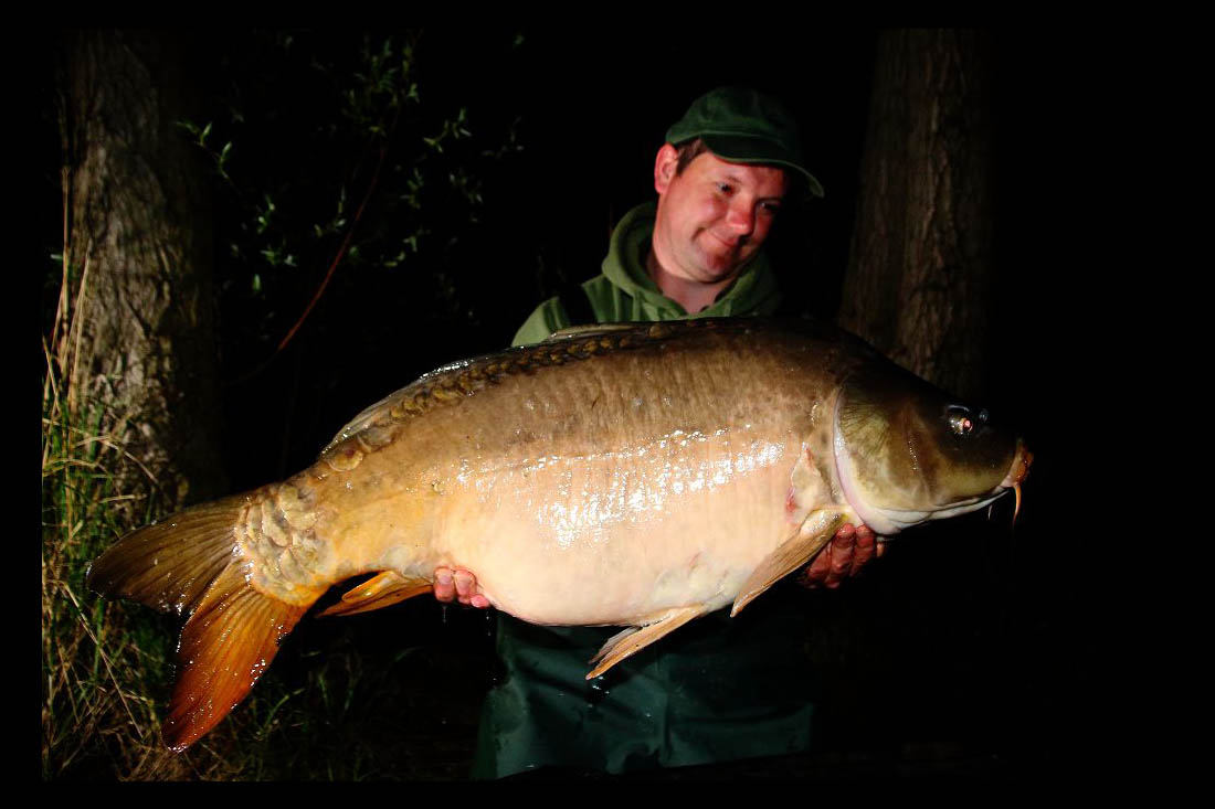 Bring Licht ins Dunkel