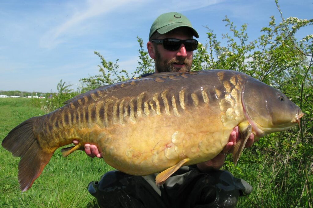 Jim Chisnall