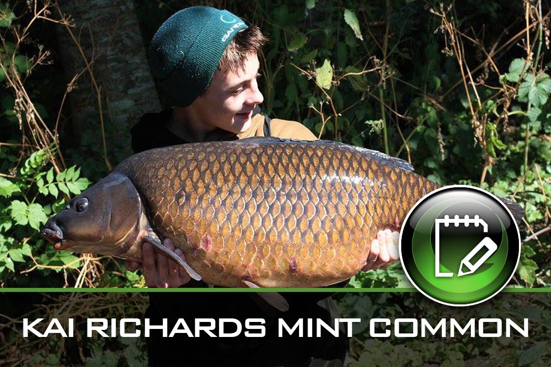 Kai Richards Mint Common