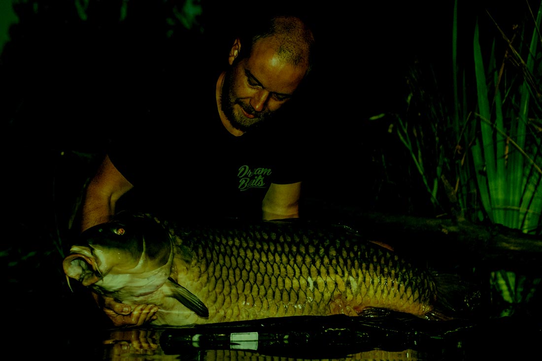 Karpervissen – Alles of Niets – Vincent Van den Abeele