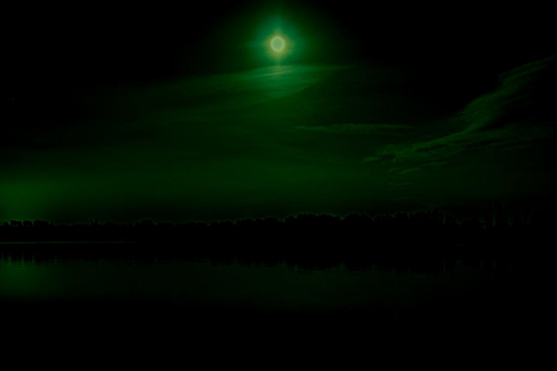 Karpervissen – Fish of A Life Time… – Tommy De Cleen