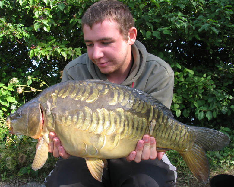 Liam Hodges back at Linear