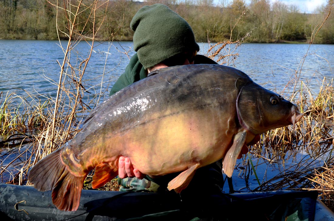 A la faveur de l’automne! – Dauchy David