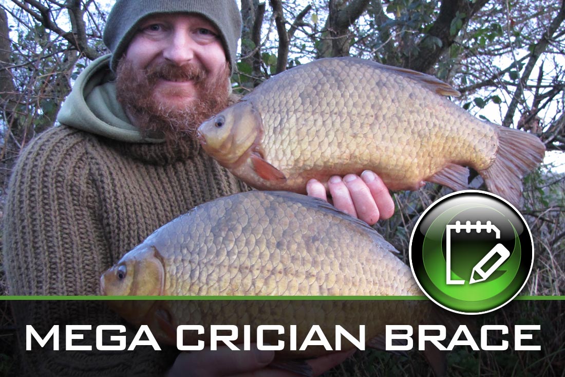 Coarse Fishing – Mega Crucian Brace – By Mike Lyddon