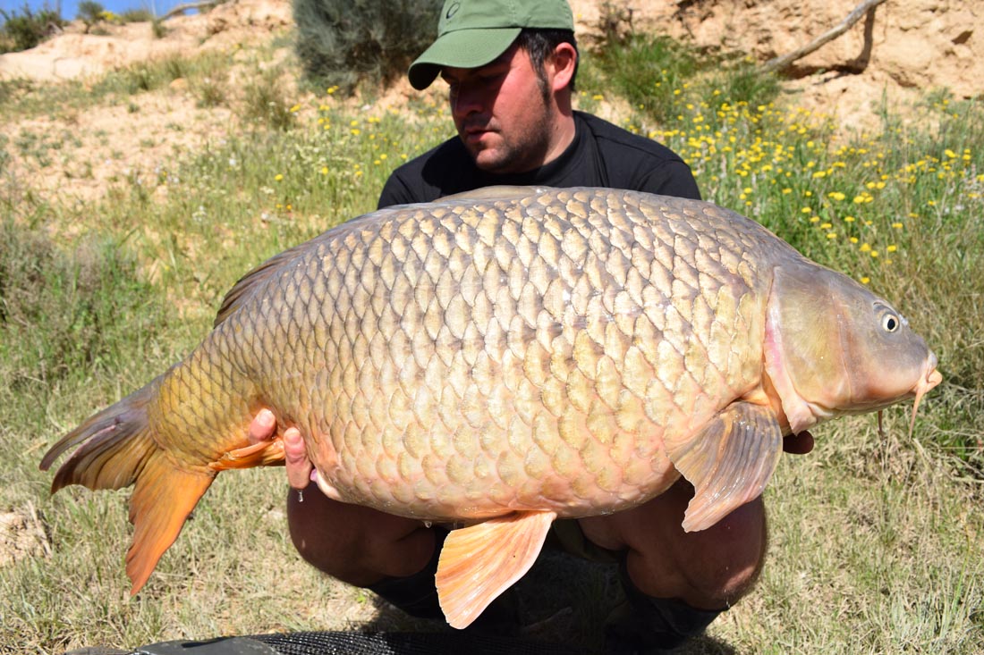 Spanish experience – Luca Tugnol