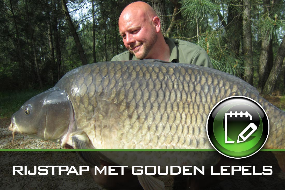 RIJSTPAP MET GOUDEN LEPELS