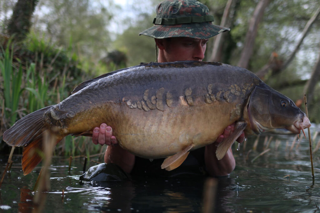 Sam Beswick