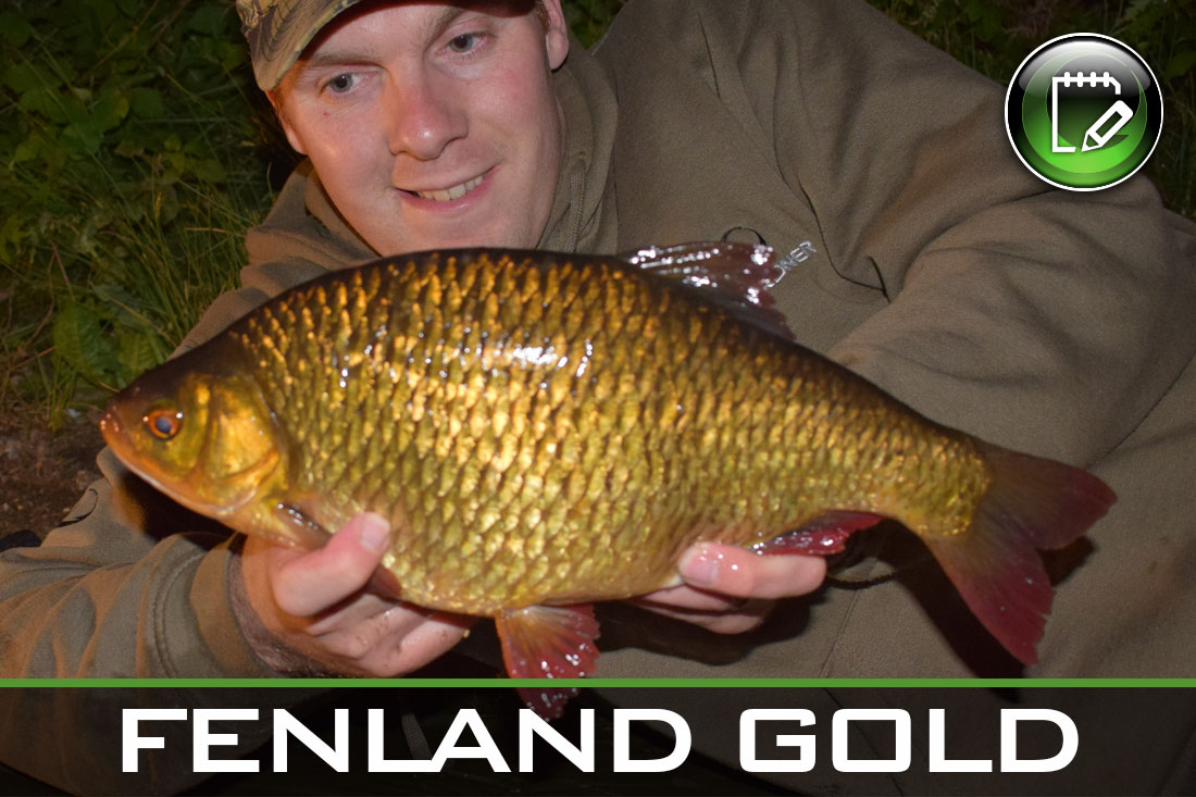 Coarse Fishing – Fenland Gold – Jamie Martin