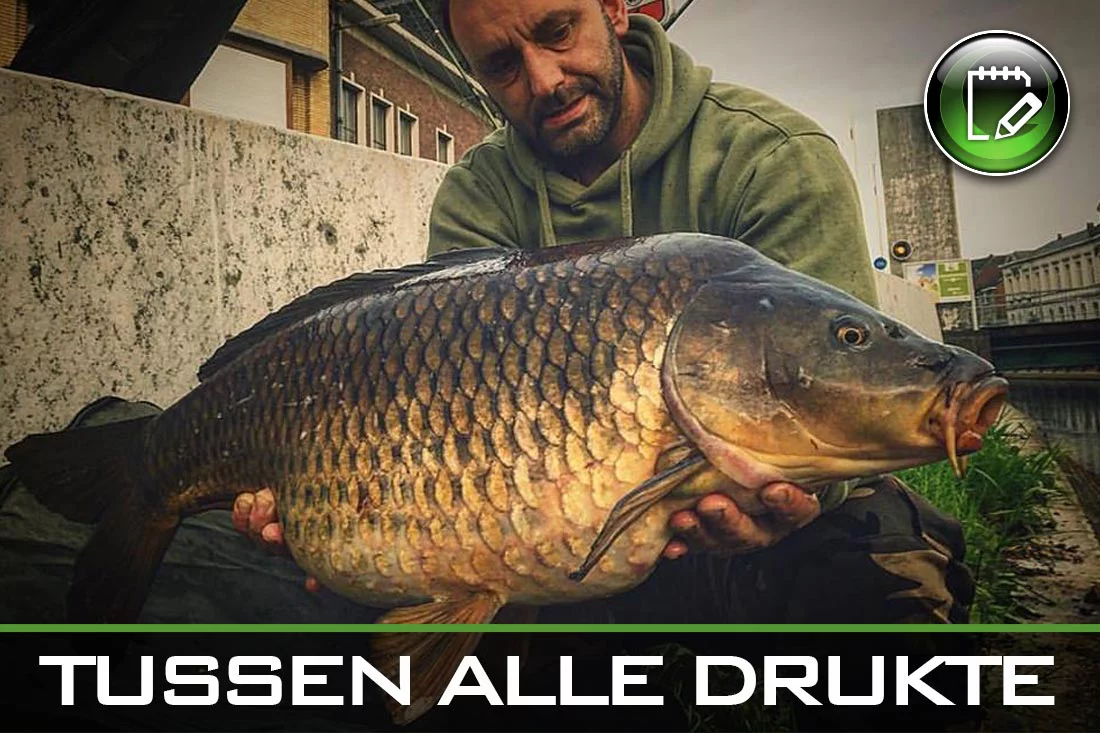 Tussen Alle Drukte –  Jurgen Vandenstorme