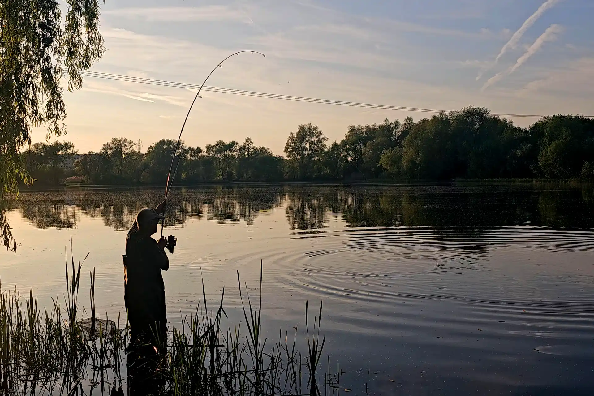 A person stands by the edge of a calm lake at sunset, holding a fishing rod that's bent, possibly reeling in a catch. Trees and reeds are reflected in the water, and ripples spread near the fishing line.