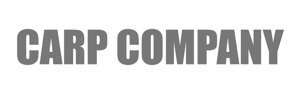 Grey bold capital letters spell CARP COMPANY on a white background.